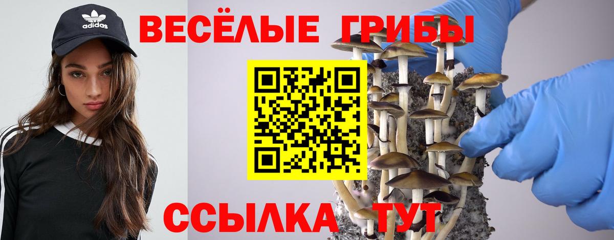 Псилоцибиновые грибы прущие грибы  Вход с VPN  Тольятти 